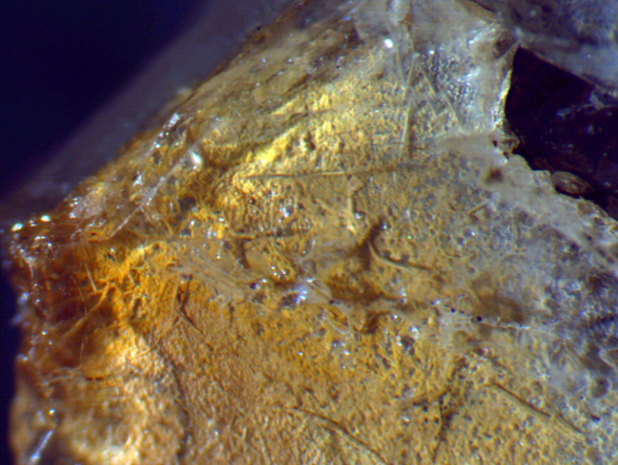 Biogenes Innenleben in Bergkristall - Fossile Bakterienstrukturen