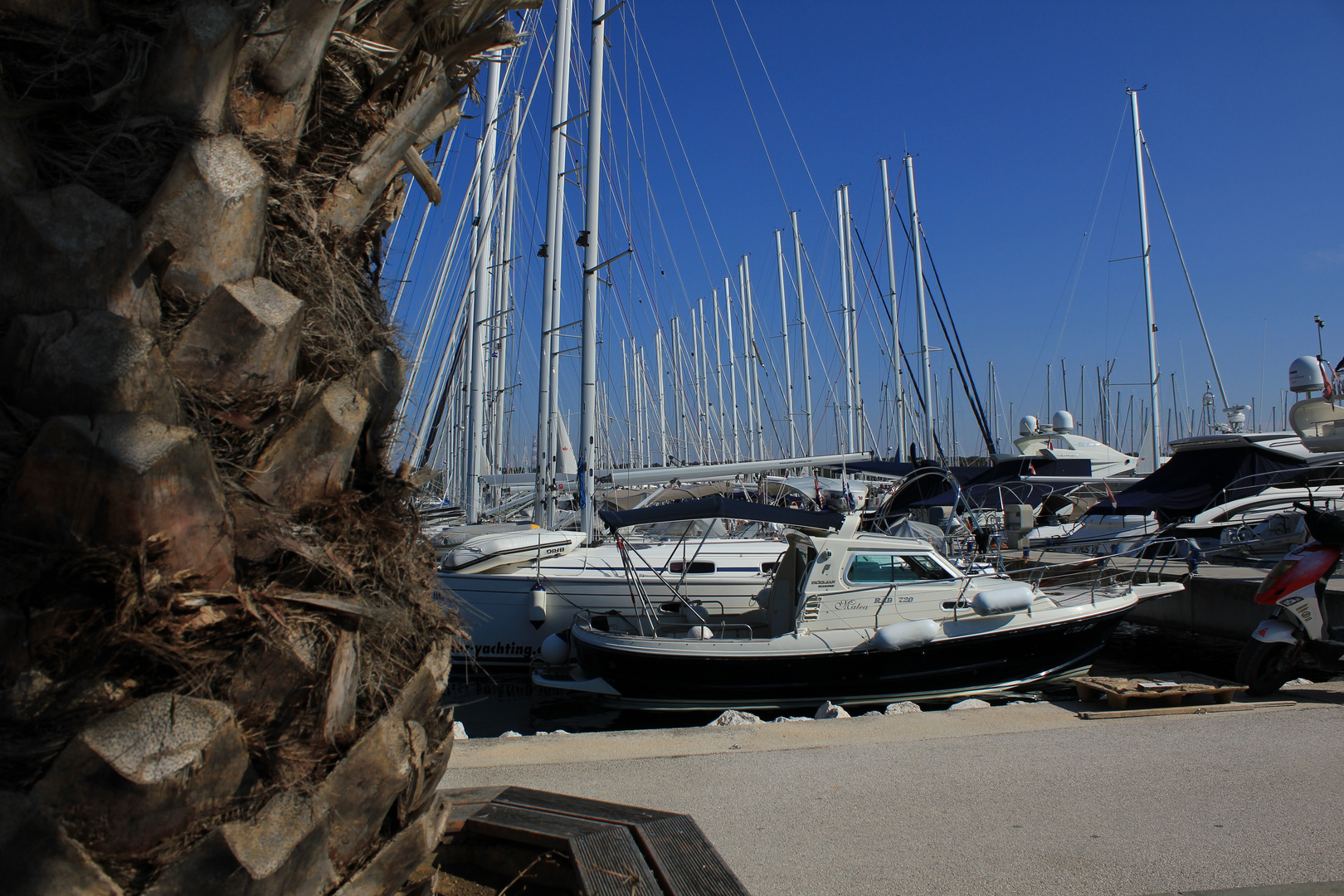 Biograd n/m, Yachthafen