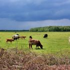 biologische Aufzucht