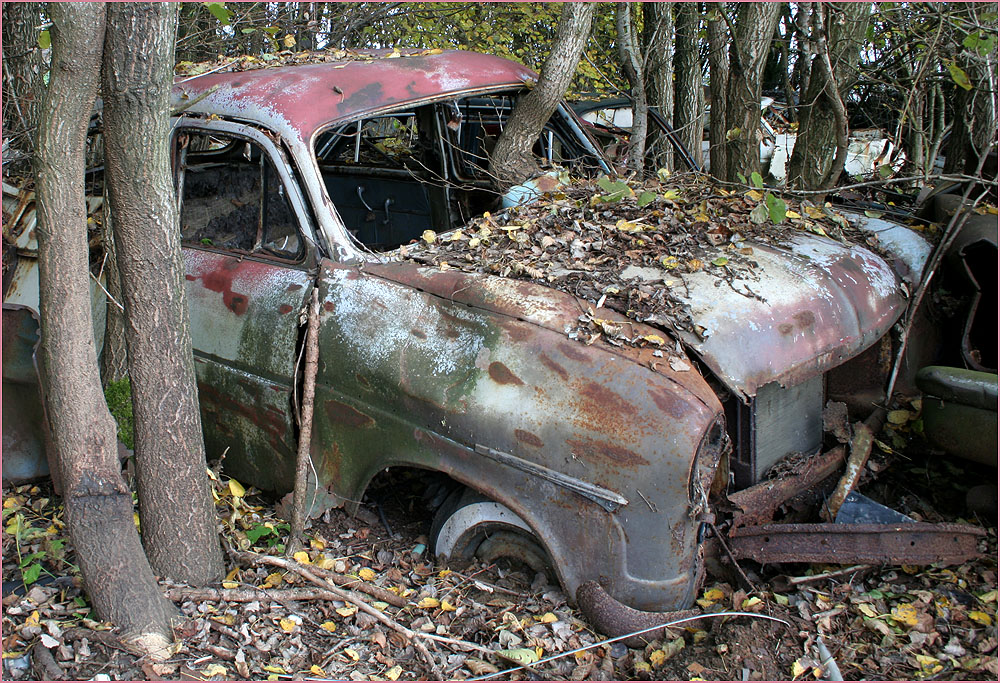 biologisches Lenkradschloß eines Dauerparkers ;-))