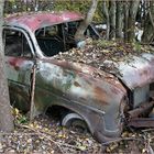 biologisches Lenkradschloß eines Dauerparkers ;-))