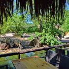 Bioparc: Safari-Lodge