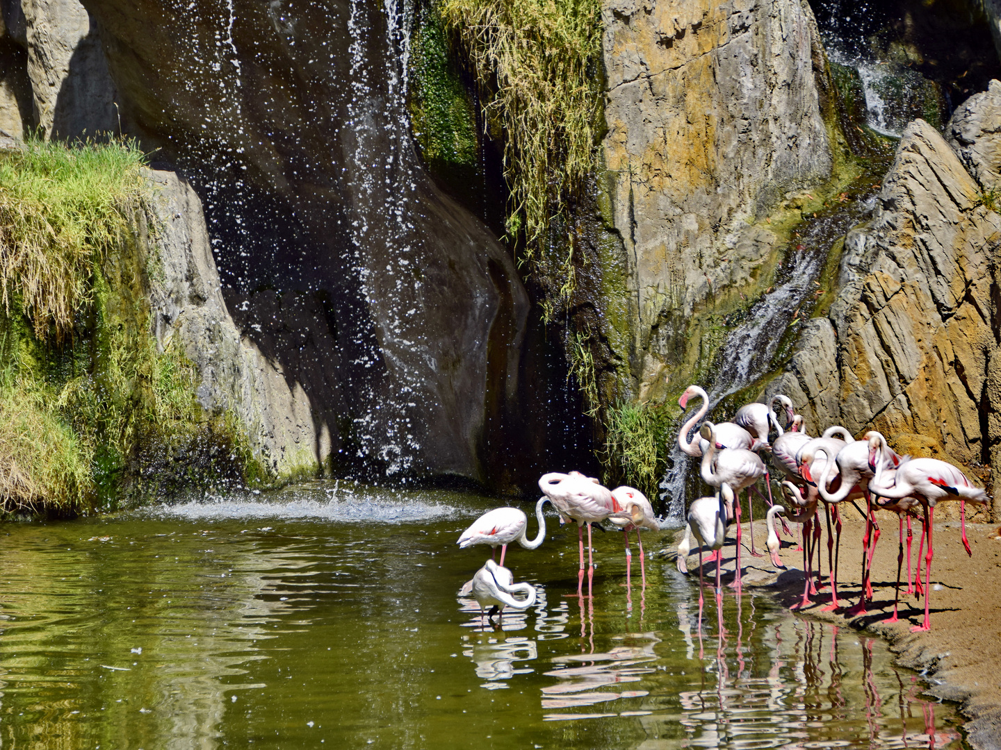 Bioparc Valencia