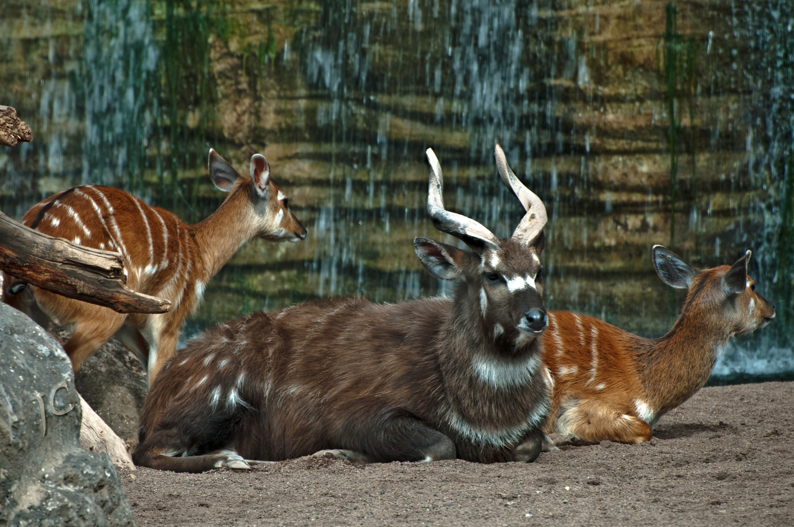 BIOPARC, VALENCIA,