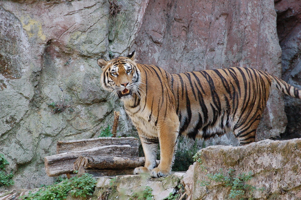 bioparco roma