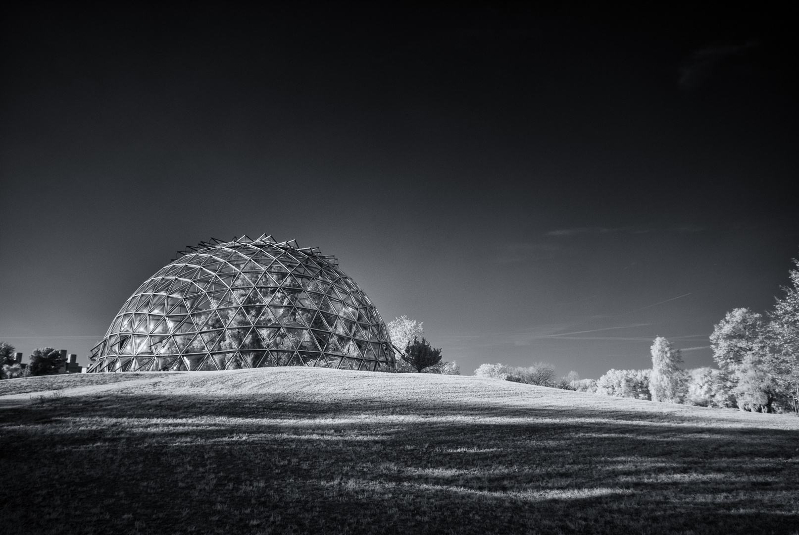 Biosphäre