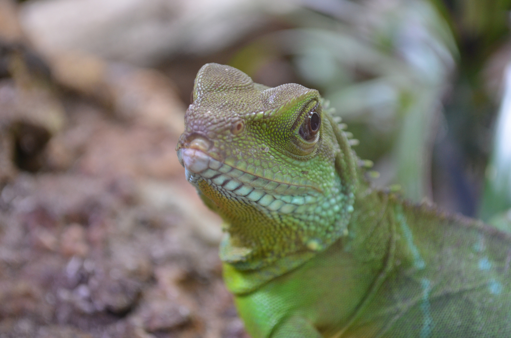 Biosphäre