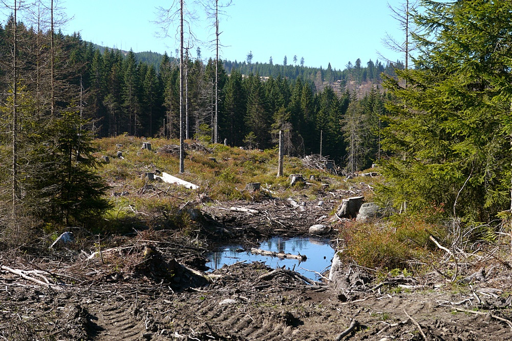 Biosphären - Reservat Šumava ..