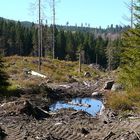 Biosphären - Reservat Šumava ..