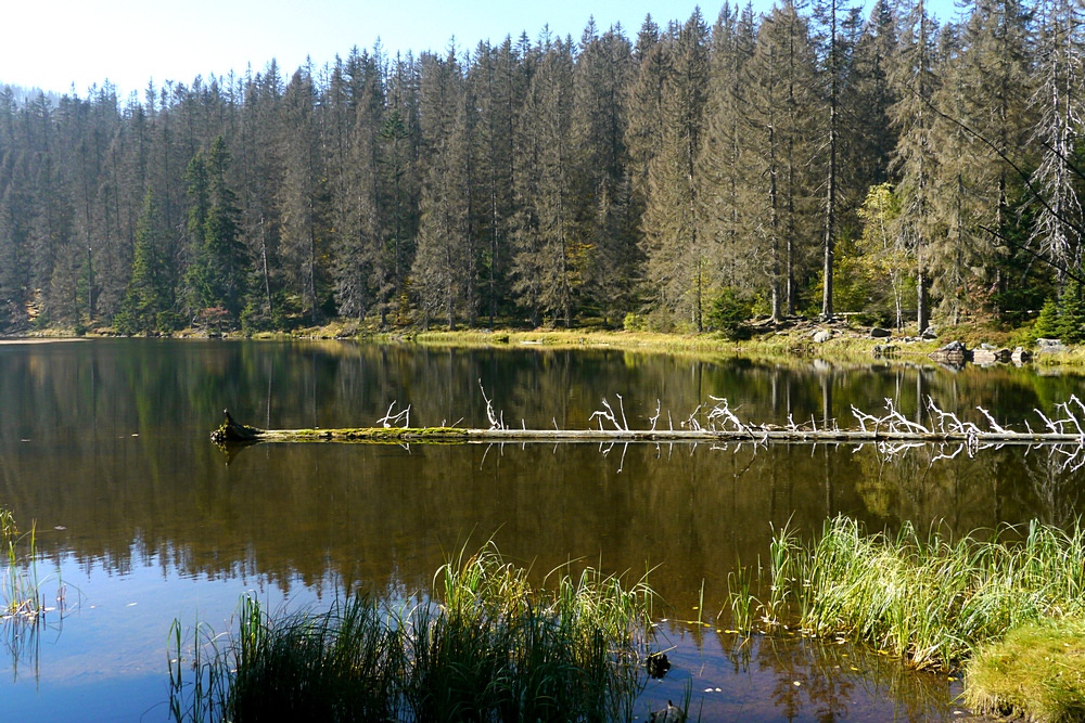 Biosphären - Reservat Šumava ...