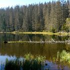 Biosphären - Reservat Šumava ...