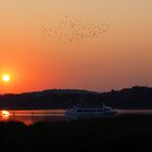 Biosphärenreservat auf Rügen ..