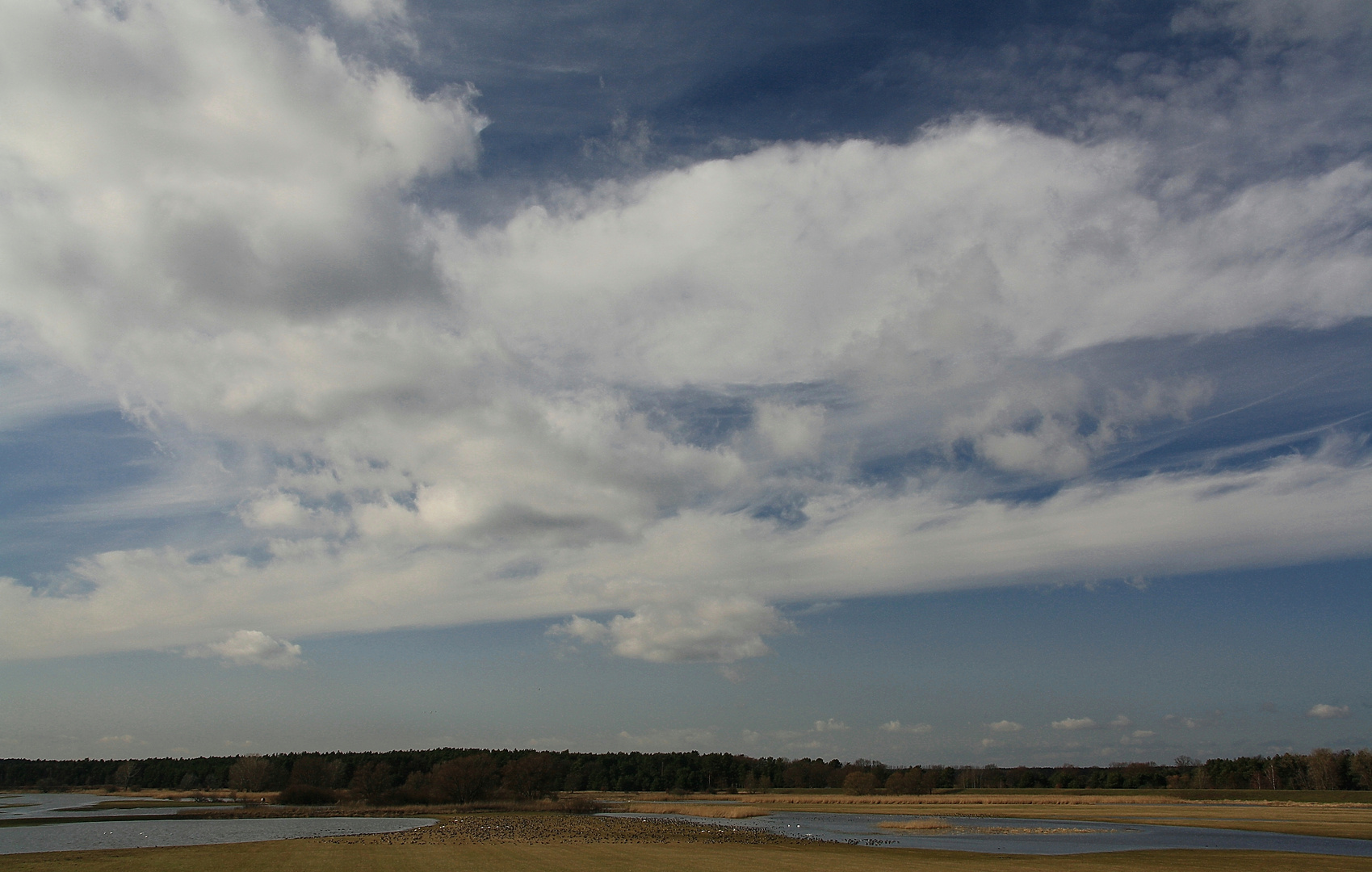 Biosphärenreservat Elbtalaue ......