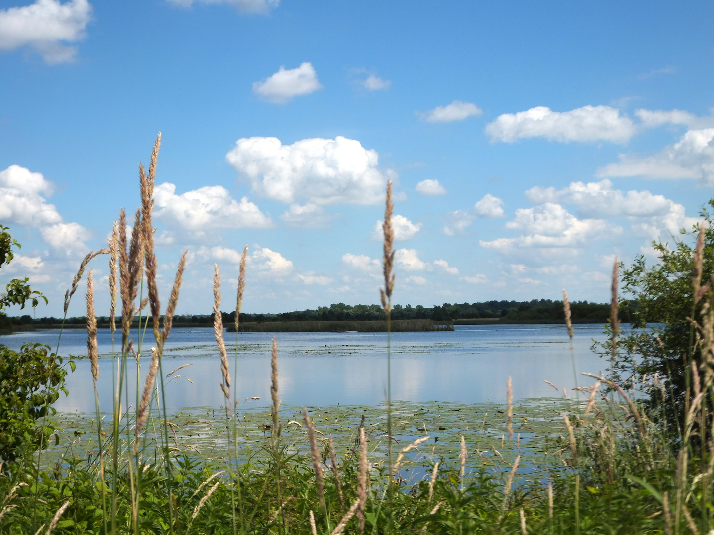 Biosphärenreservat-Klieken