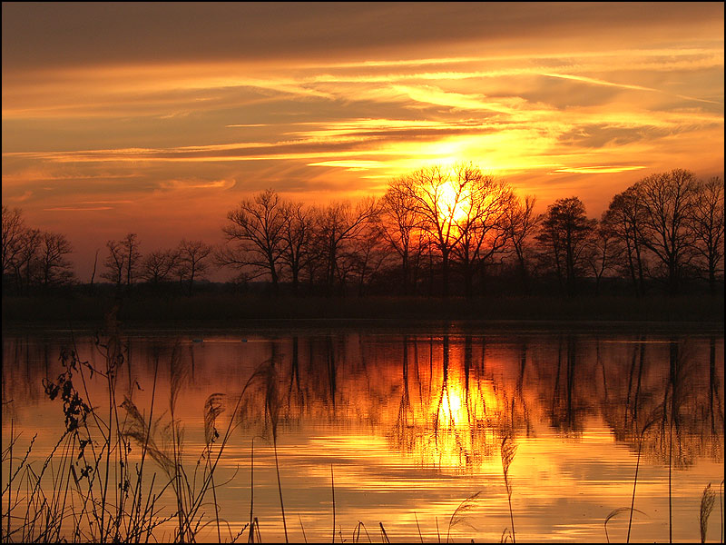 Biosphärenreservat Oberlausitzer Heide- und Teichlandschaft vor der Nachtruhe