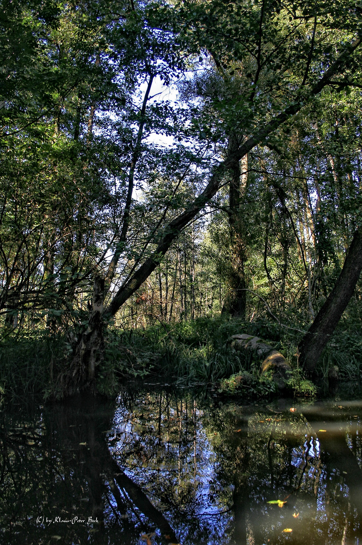 Biosphärenreservat Spreewald (2)