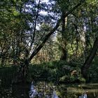 Biosphärenreservat Spreewald (2)