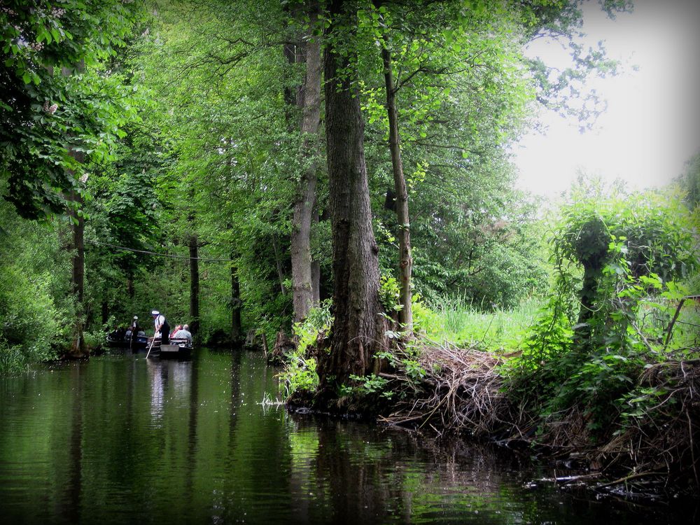 Biosphärenreservat Spreewald