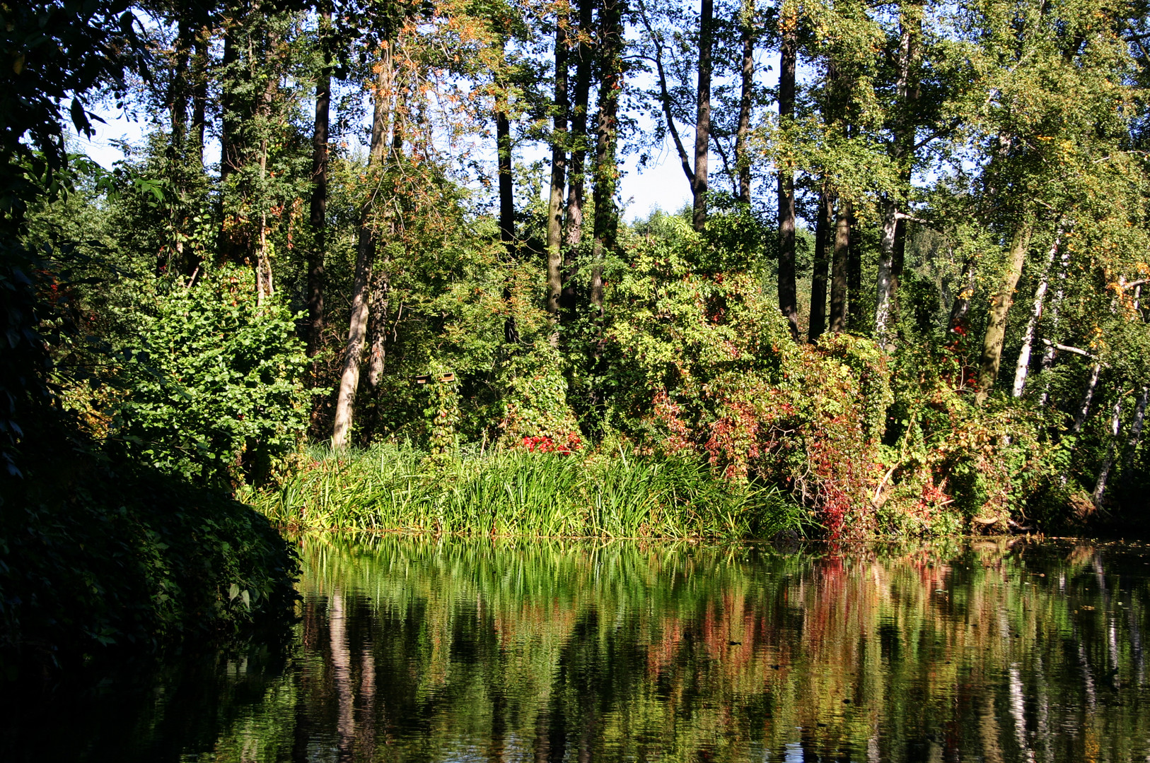 Biosphärenreservat Spreewald