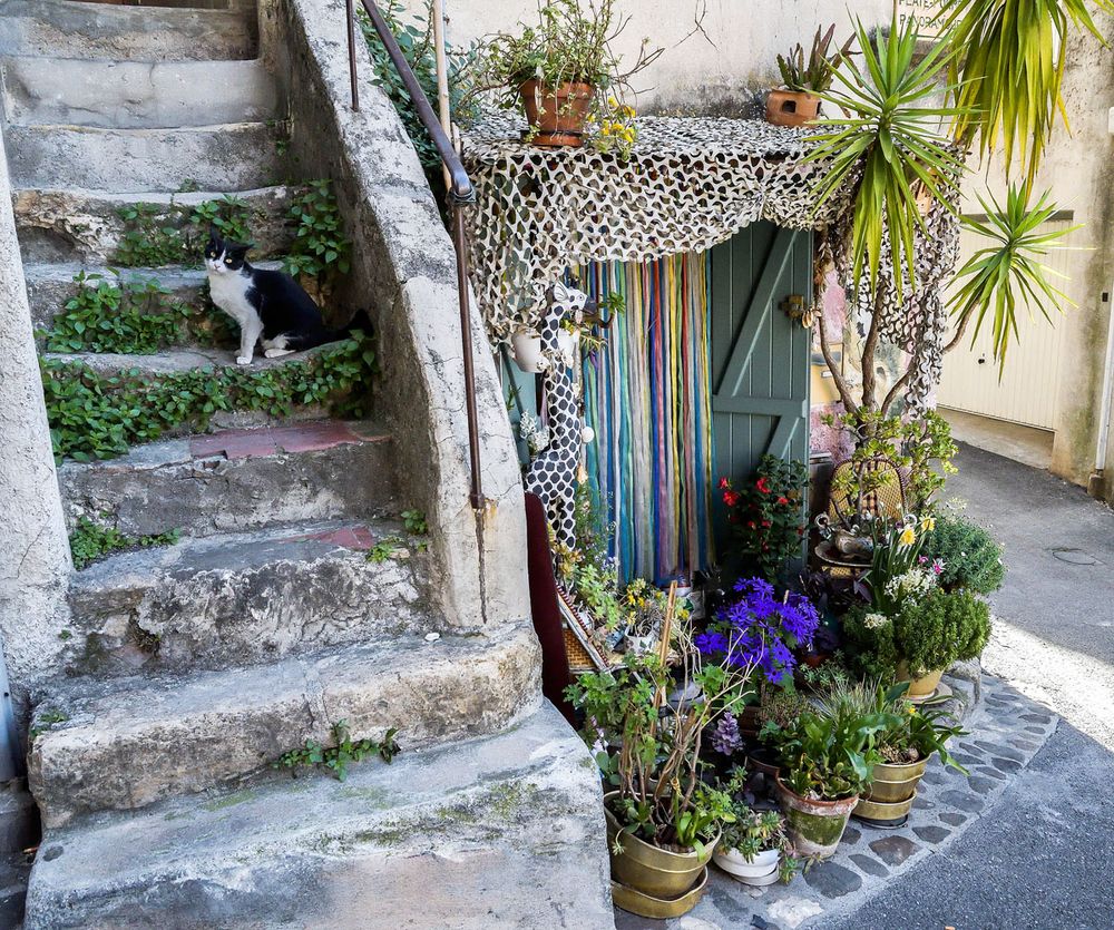 Biot un petit paradis pour les chats!!