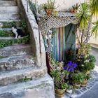 Biot un petit paradis pour les chats!!