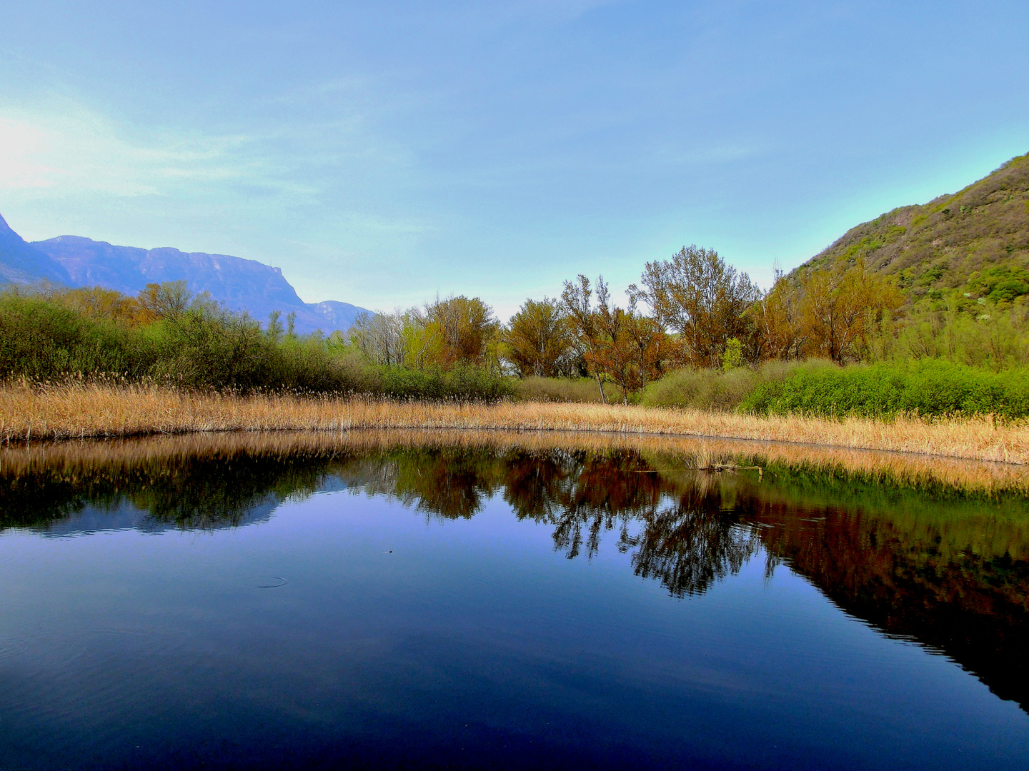 Biotop am Kalterer See