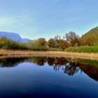 Biotop am Kalterer See