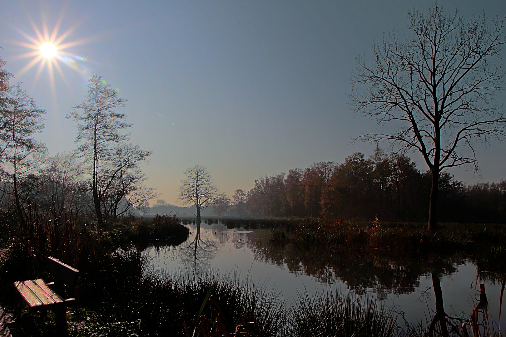 Biotop am Niederrhein