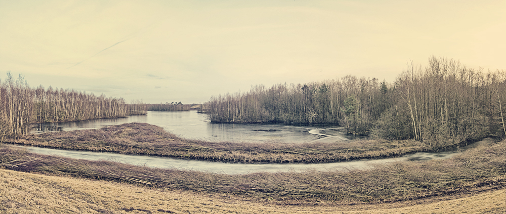 Biotop am  Speicherbecken Geeste