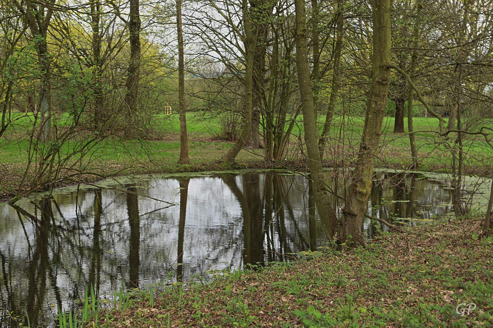 Biotop an der Müga