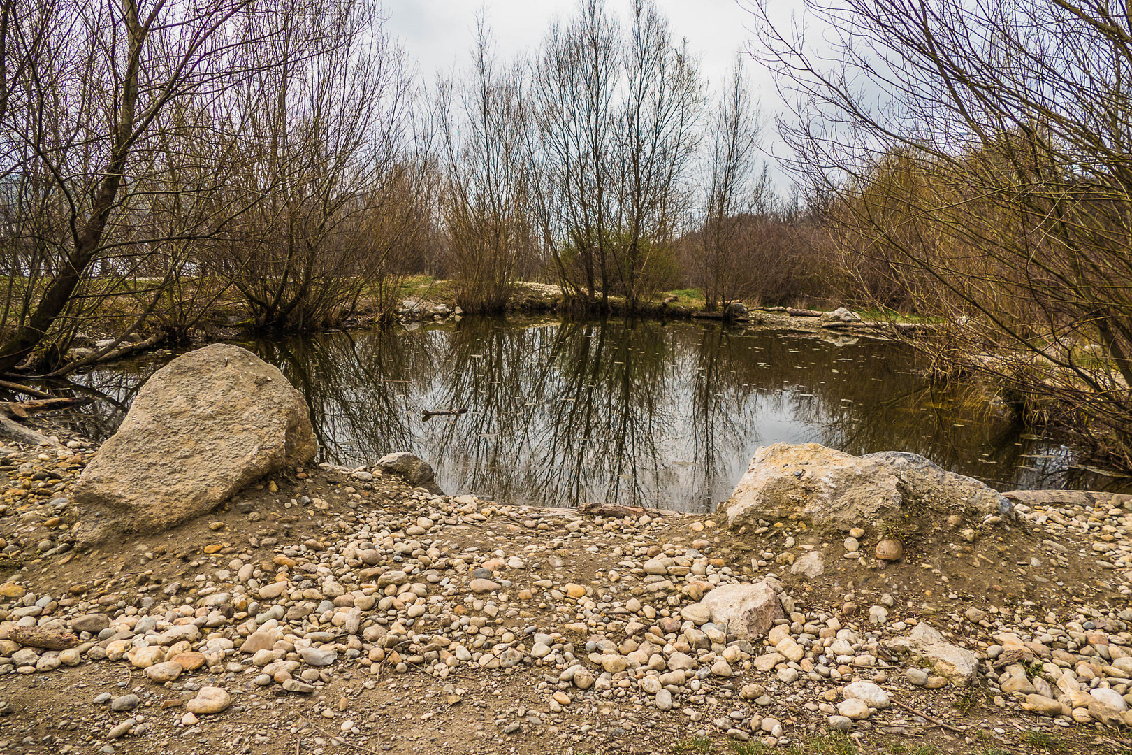 Biotop auf der Donauinsel, oberhalb der Nordbrücke