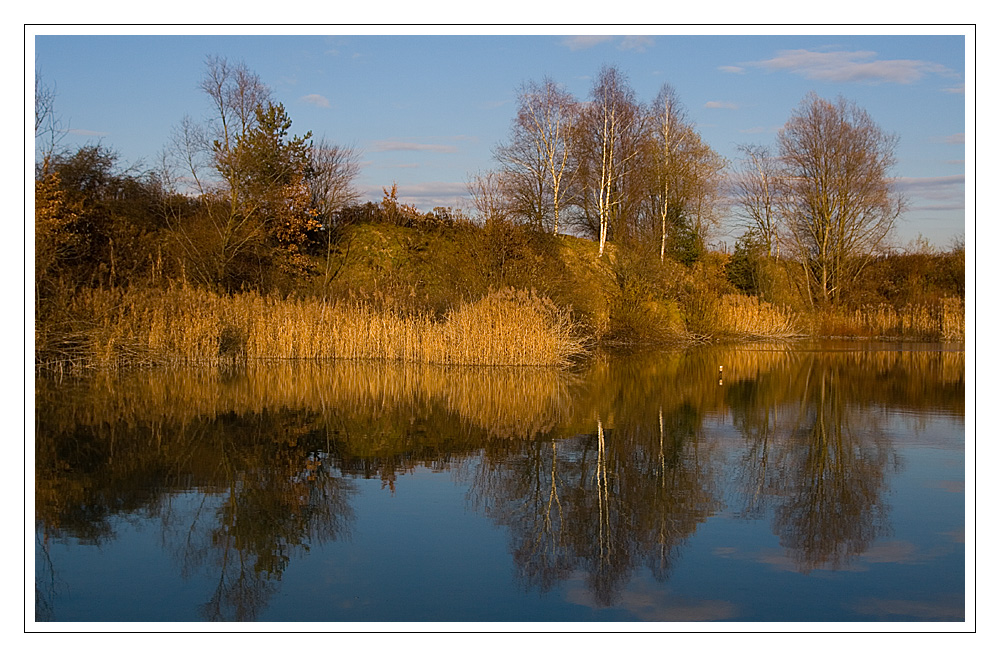 Biotop bei Ebenthal im Herbst