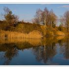 Biotop bei Ebenthal im Herbst