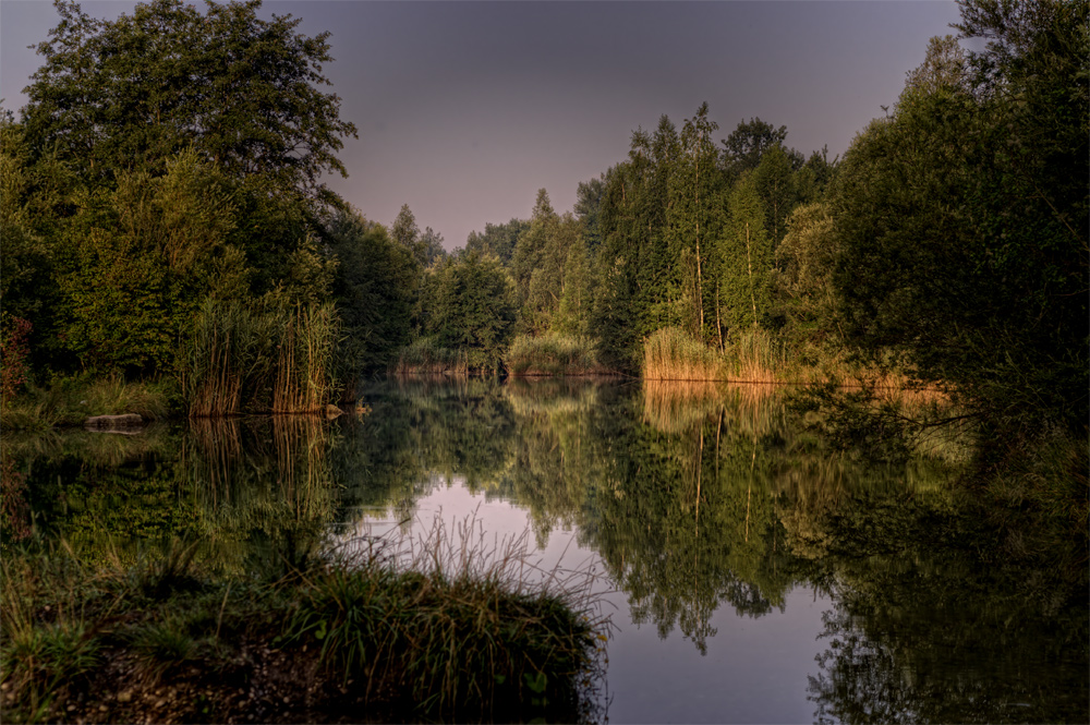 Biotop im Morgenlicht