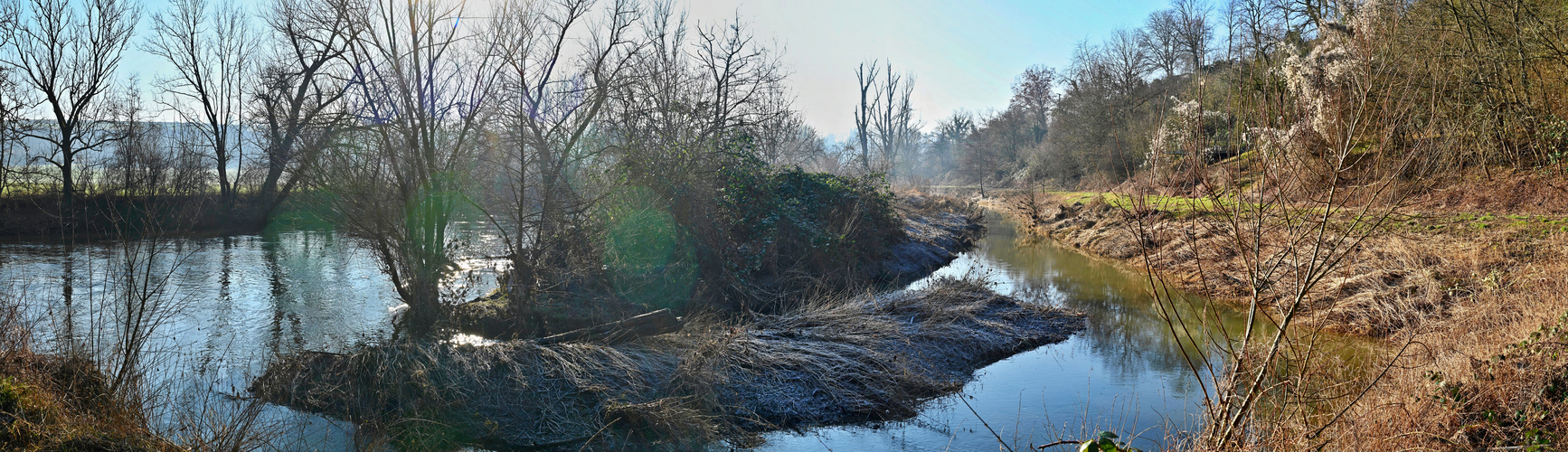 Biotop im Winter