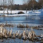 Biotop im Winterschlaf