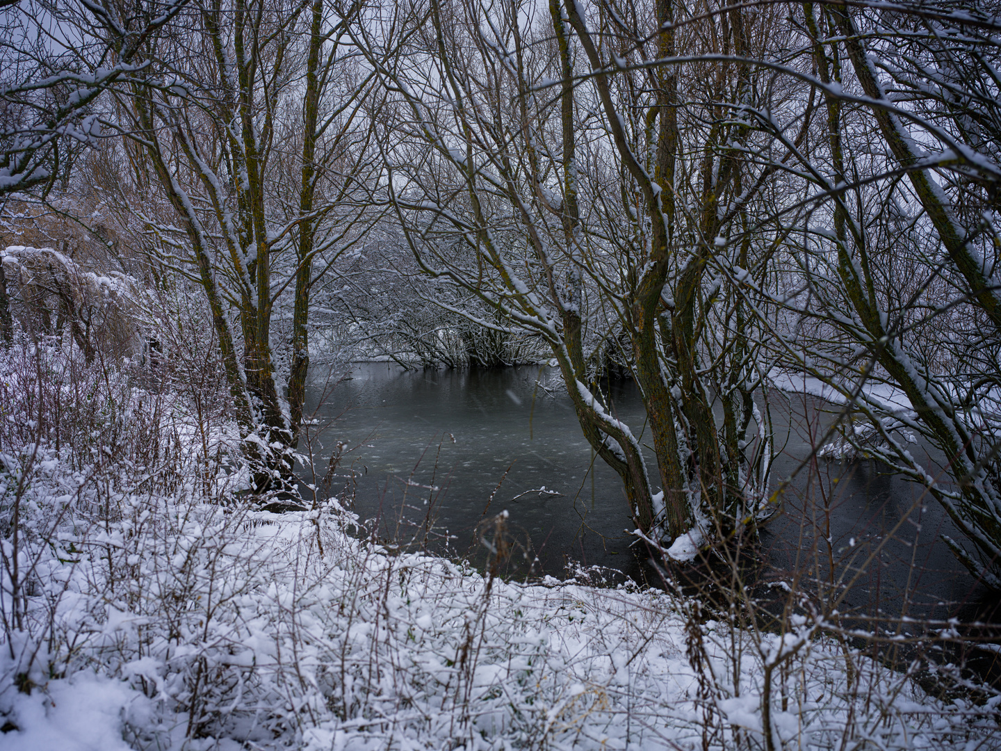 Biotop im Winterzauber