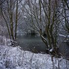 Biotop im Winterzauber