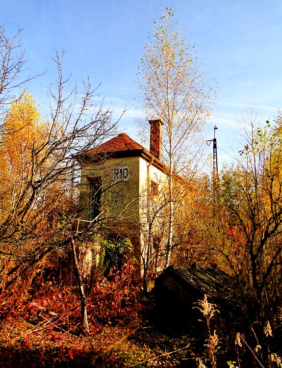 "Biotop Rangierbahnhof 02"