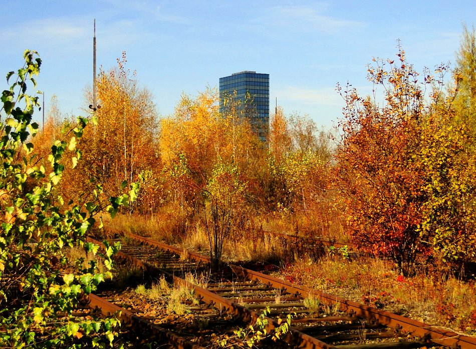 "Biotop Rangierbahnhof"