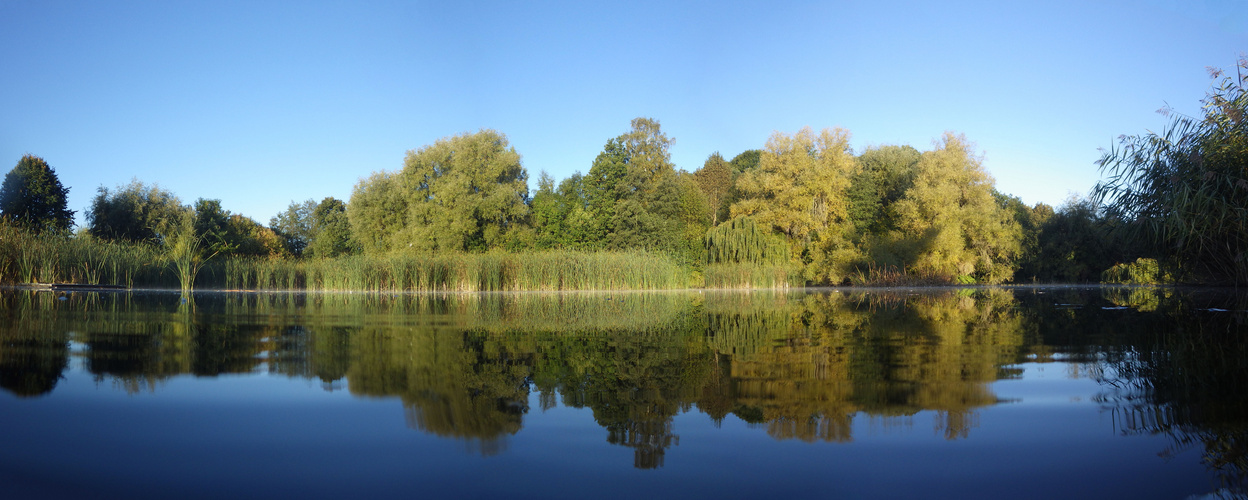 Biotop Riedteich Rabenstein Chemnitz