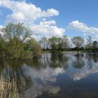 Biotop Stapelteiche bei Salzwedel 