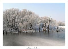 Biotop zwischen Biebelhausen und Ayl an der Saar