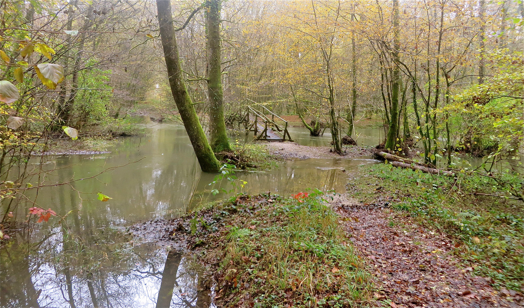 ...Biotope Val de Clauge -1- !!!...