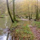 ...Biotope Val de Clauge -1- !!!...