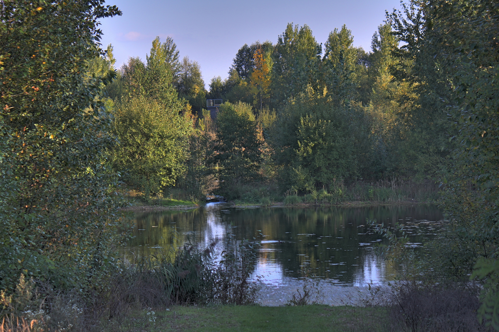 Biotopseen Marienfeld bei Götzenkirchen