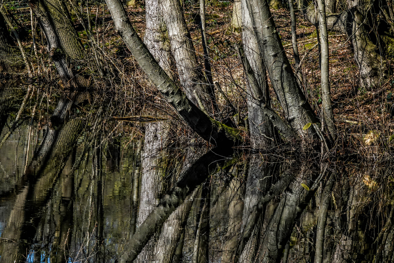 Biotopwildpark Anholter Schweiz (08)