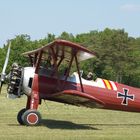 Biplan Ferté Allais 2010