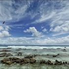 bird and clouds