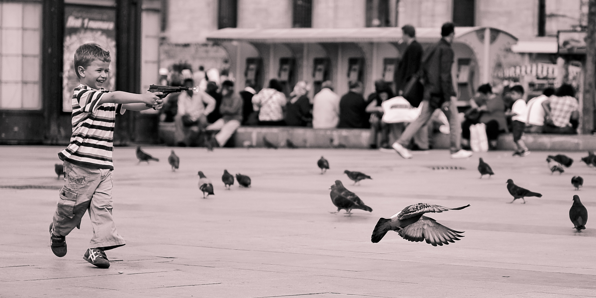 Bird Chase in Istanbul